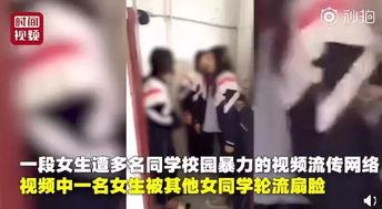 哈尔滨女生爆料事件视频,真相与争议交织的校园风云 第1张 哈尔滨女生爆料事件视频,真相与争议交织的校园风云 第1张
